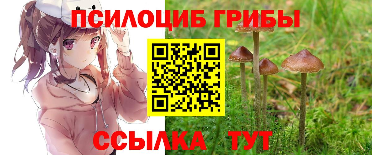 Галлюциногенные грибы MAGIC MUSHROOMS  Вход с VPN  Балаково 
